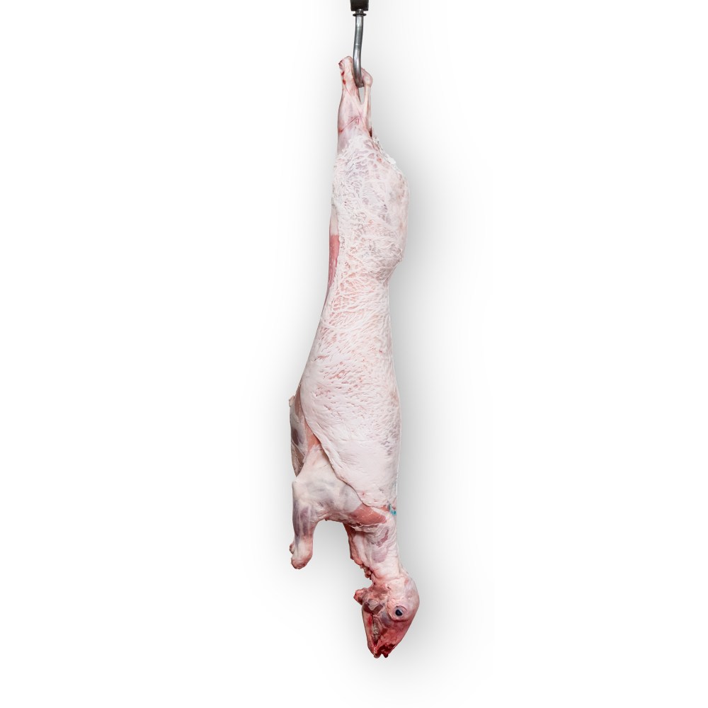 Janjeća polovica – u hladnjači