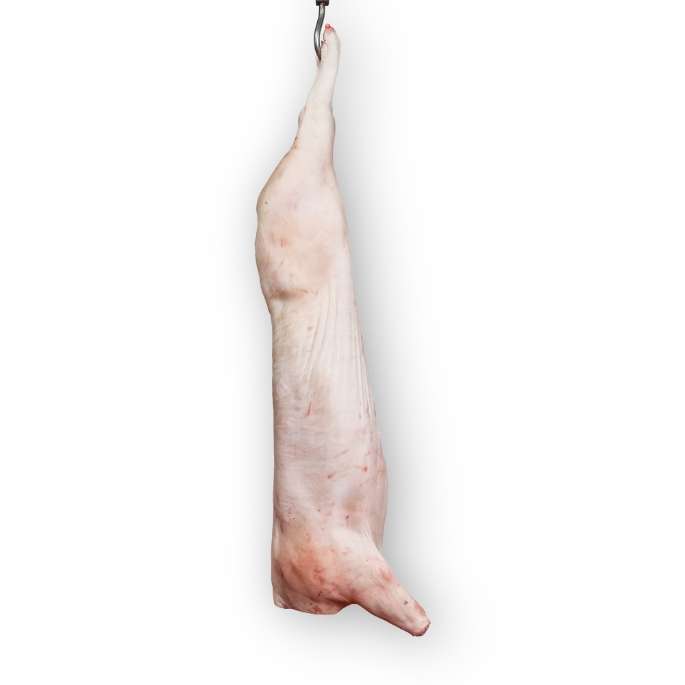Svinjska polovica – u hladnjači